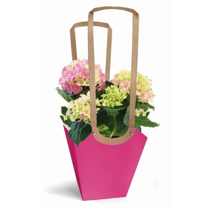 SHOPPER MEDIA CARTA FUXIA H48